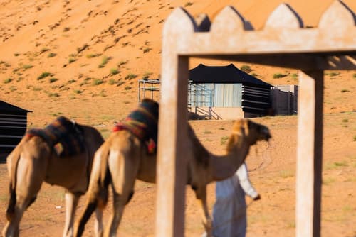 Thousand Nights Camp