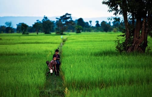 Sabara Angkor Resort & Spa, Fishing