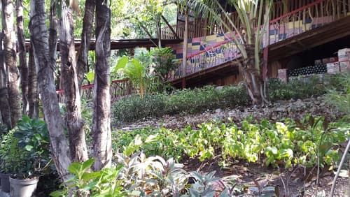 Centro Bajo Hotel, Property grounds