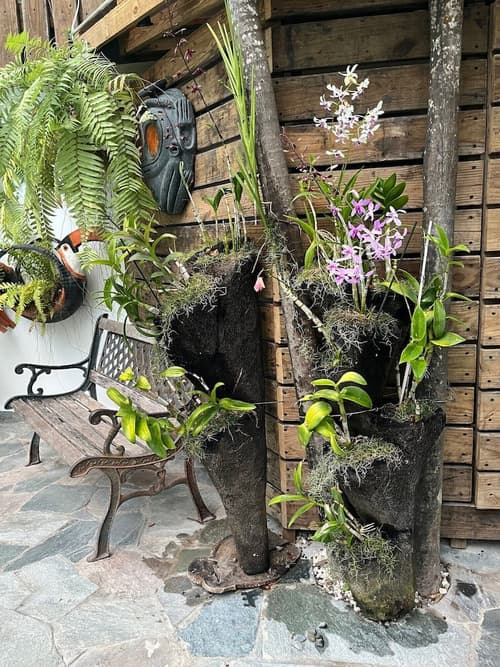 Batey Hotel Boutique, Terrace/patio