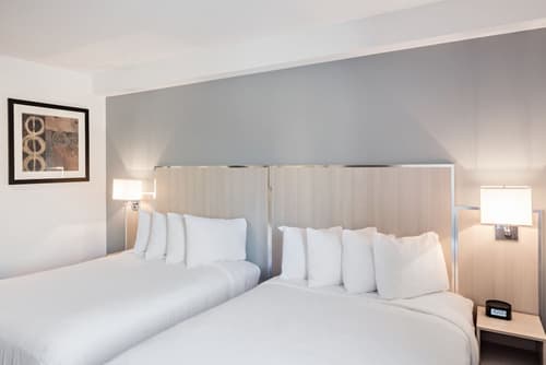 The Gatsby Hotel, Room