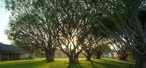 Legacy Mekong, Can Tho, Autograph Collection, Room
