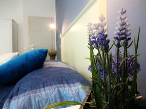 I vicini della cattedrale, Room