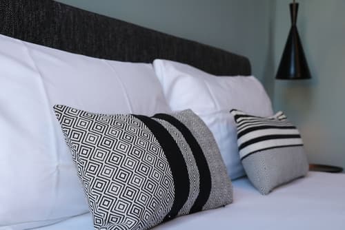 Quentin Zoo hotel, Room