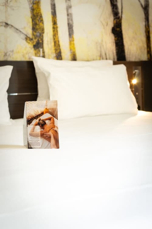 Novotel Suites Colmar Centre, Room