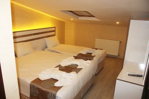 Theodian Hotel, Room