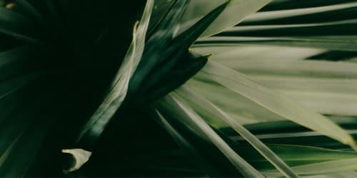 Ritsurin Boutique Hotel, Room