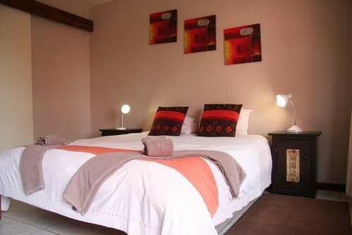 Dunedin Star Guesthouse, Room