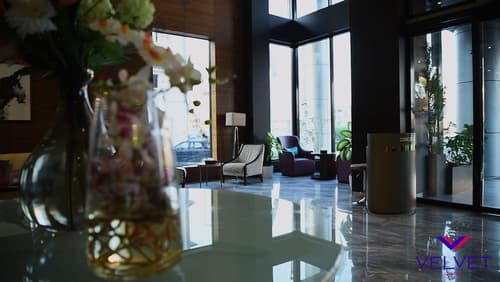 Velvet Hotel, Reception