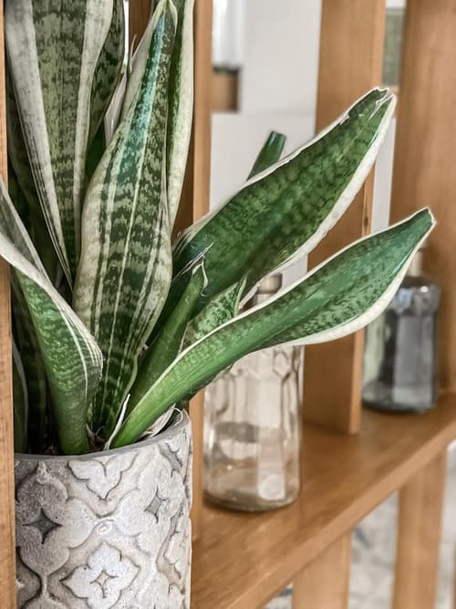 Hypnos Boutique Hotel