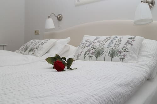 Country Dream guesthouse