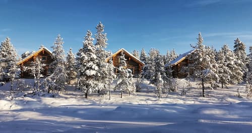 Wilderness Hotel Muotka & Igloos, Room