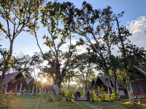 Phayamas Private Beach Resort and Island Brew - Adults Only, Garden view