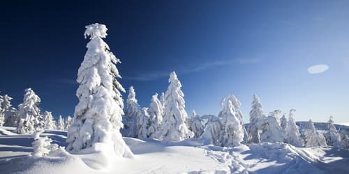 Golden Circle Suites