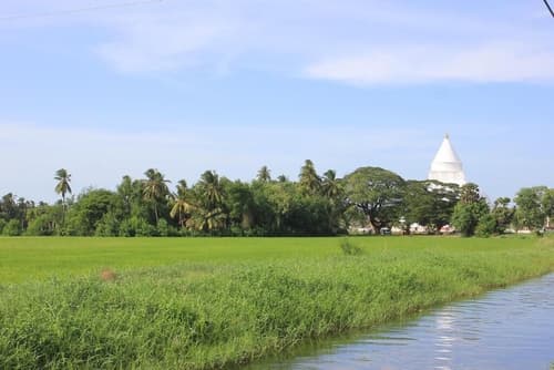 Kottamba Yala Stay & Safari