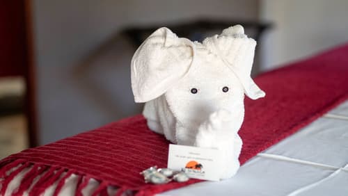 Ku Sungula Safari Lodge, Room