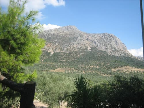 La Petite Planete, Property grounds