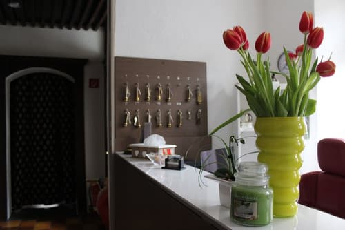 Hotel Simonis, Reception