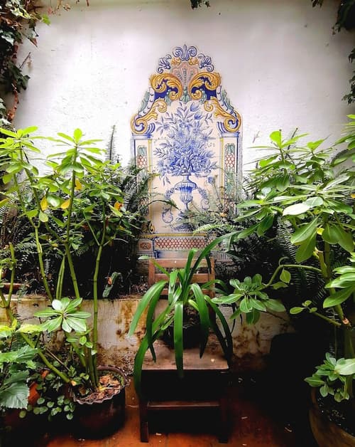 Hotel Doña Esther, Terrace/patio