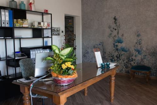 Fattoria L'Olmetto, Reception