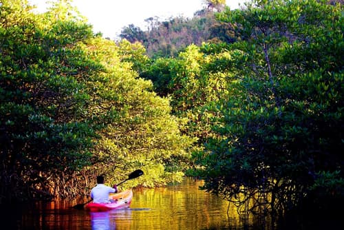 Bacau Bay Resort Coron, Exterior