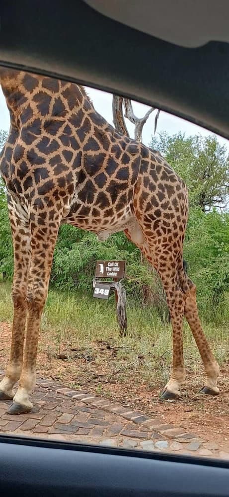 Call of the Wild Lodge, Reception