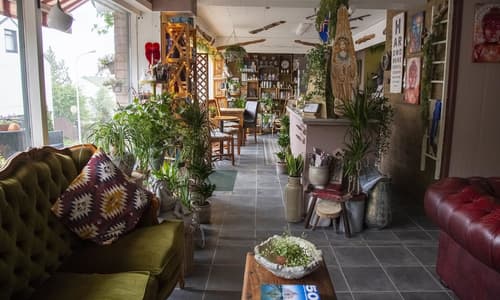 Private and peaceful one room apartments, Reception