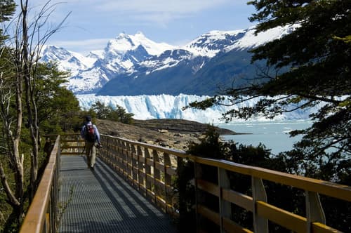 Sent Calafate