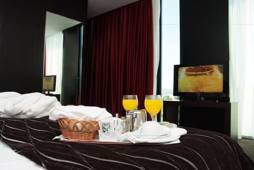 Axis Viana Business & SPA Hotel, Room