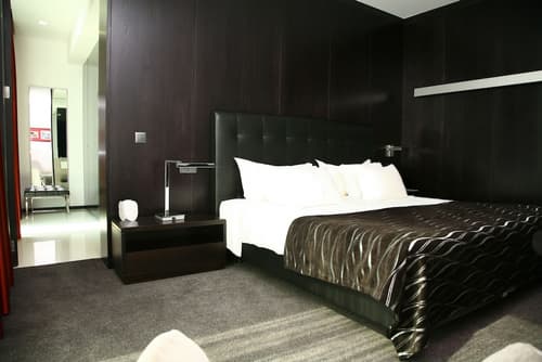 Axis Viana Business & SPA Hotel, Room