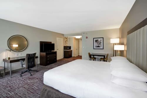 DoubleTree by Hilton Chicago Midway Airport, Room