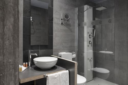 Petit Palace Plaza Mayor