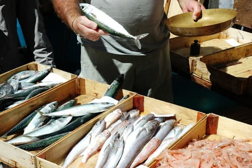 Bad - Bed & Breakfast and Design