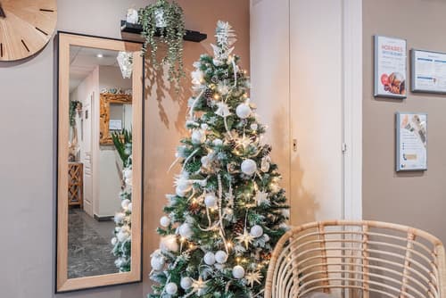 Residhotel Mulhouse Centre, Reception