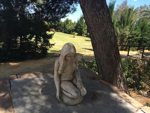 Hacienda Los Jinetes, Property grounds