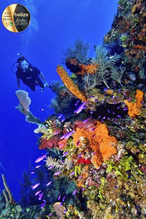 Portofino Beach Resort, Ecotours