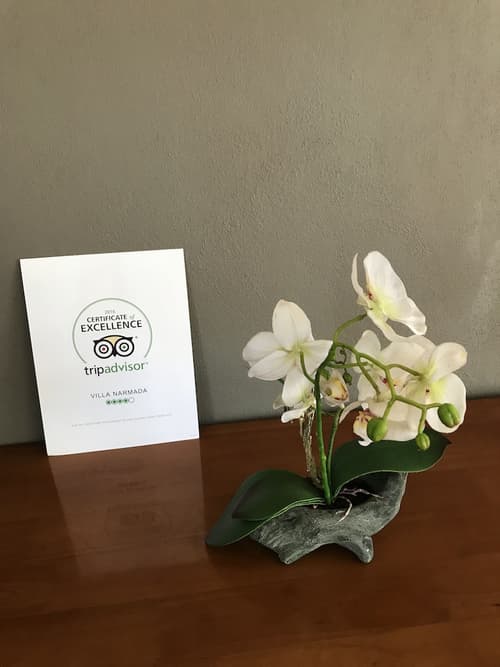 Villa Narmada, Lobby