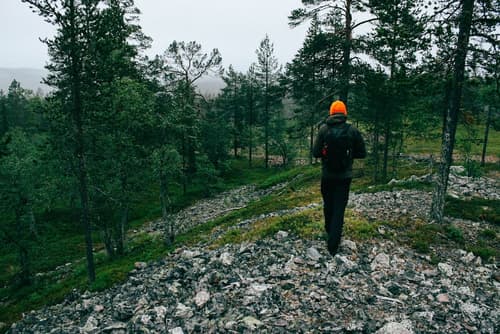 Lapland Hotels Luostotunturi, Hiking