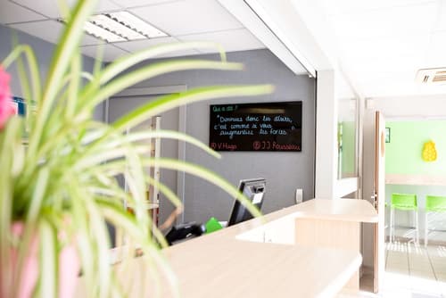 Hotel Première Classe Lyon Sud - Pierre Bénite, Reception