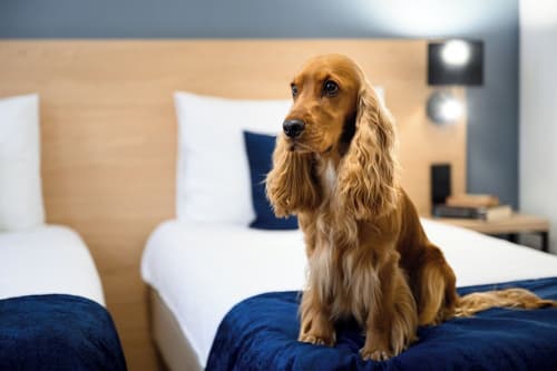 Hotel Bristol Budapest, Room