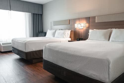 Holiday Inn Express & Suites Kingston Central by IHG, Room
