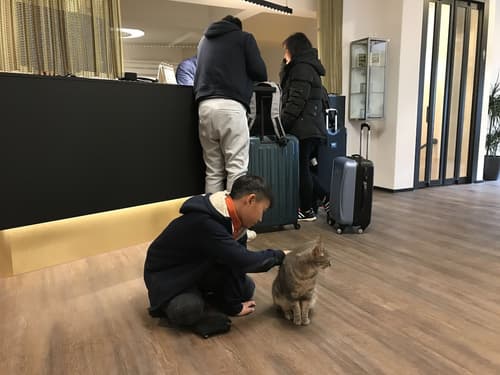 Hotel Jardin, Reception