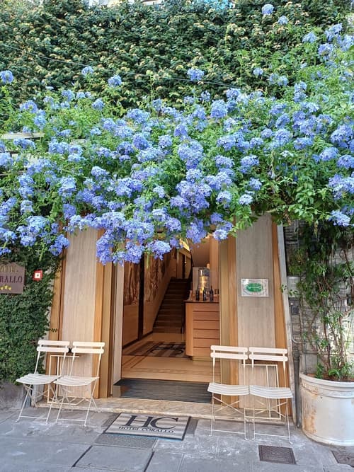 Hotel Corallo