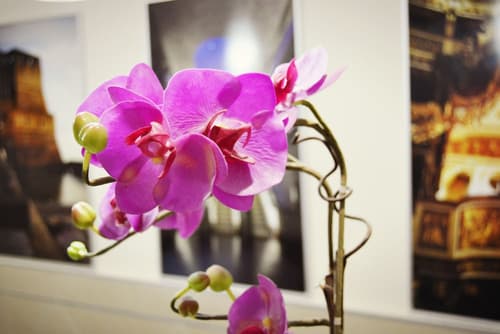 Hotel Colombo, Reception