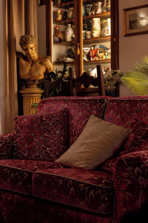 Maxim Axial, Reception