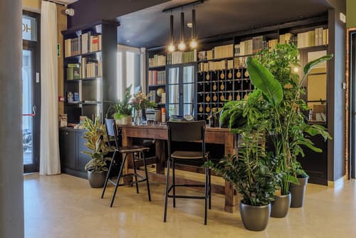 San Marco, Reception