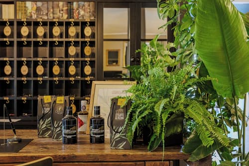 San Marco, Reception