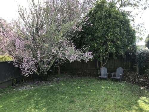 Aotearoa Lodge, Courtyard