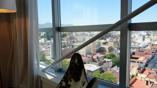 Design Suites Salta, Room