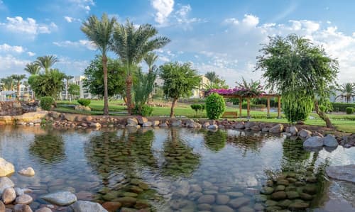 Aurora Oriental Resort Sharm El Sheikh